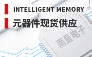 Intelligent Memory��LOGO